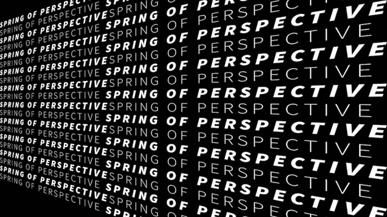 PACKSHOT ADIN - Spring Of Perspective (LP) - DREEF Records