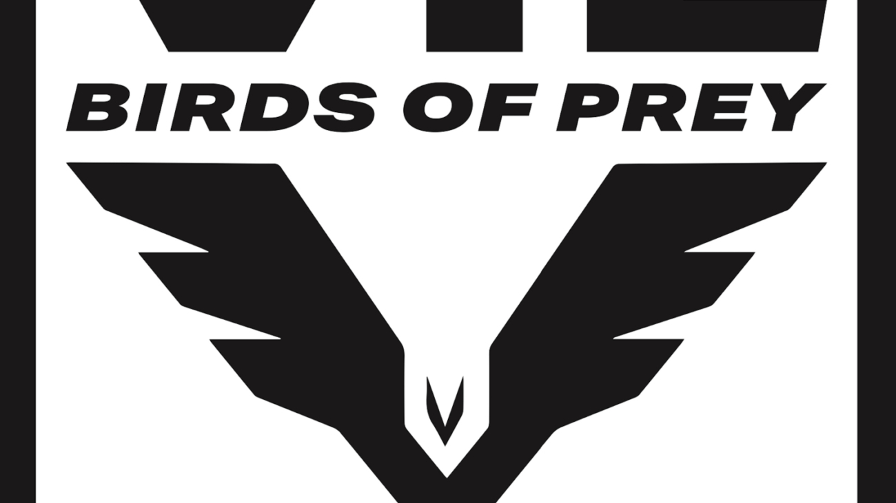 cover Vil - Birds of Prey